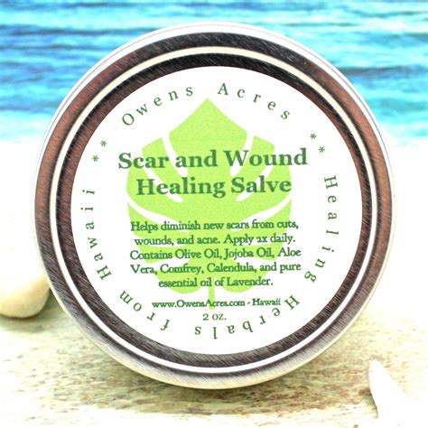 Apicultural Magic Salve: A Traditional Remedy Remastered for Modern Life